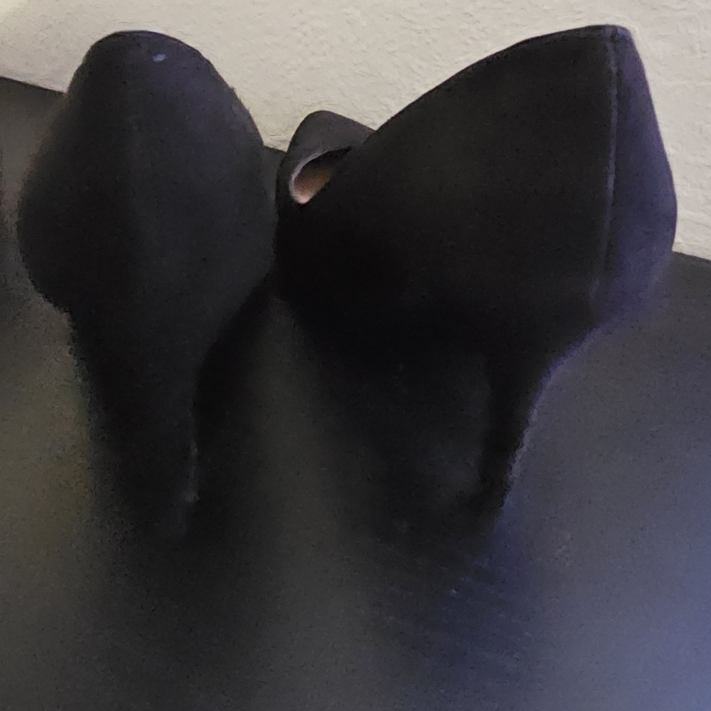 Elegant Black Women's Heels